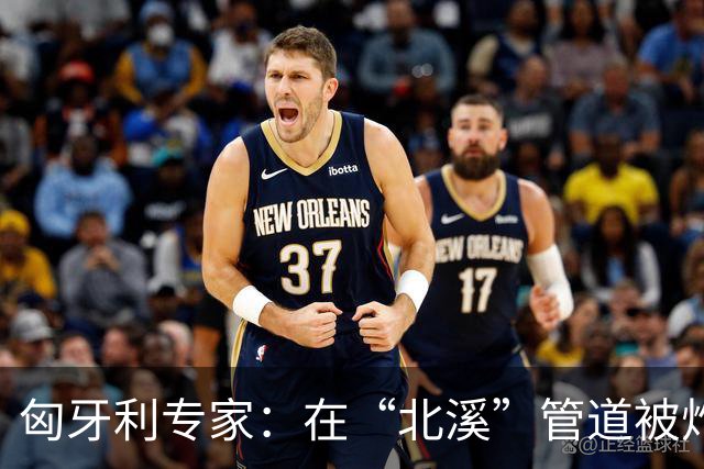 匈牙利专家：在“北溪”管道被炸毁后，德国对乌的支持是不正常的