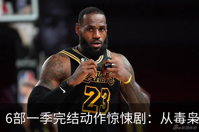 6部一季完结动作惊悚剧：从毒枭运货到卧底复仇，一晚刷完