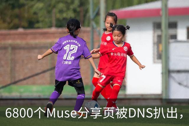 6800个Muse分享页被DNS扒出，Meta紧急暂停